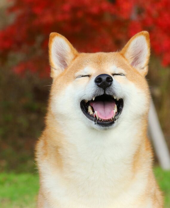 AdobeStock_180834732