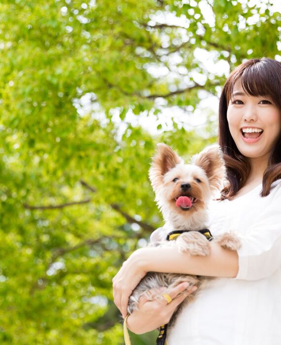 AdobeStock_113846189